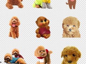 小宠物背景图,揭秘小宠物背景图的魅力世界